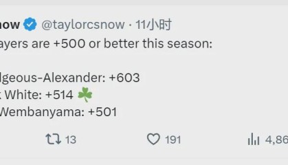 开云手机客户端-正负值+514！联盟第二人！NBA最被低估的球员